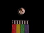 L_V22d5965 A1q1019.4 T922 dM sh f113.JPG